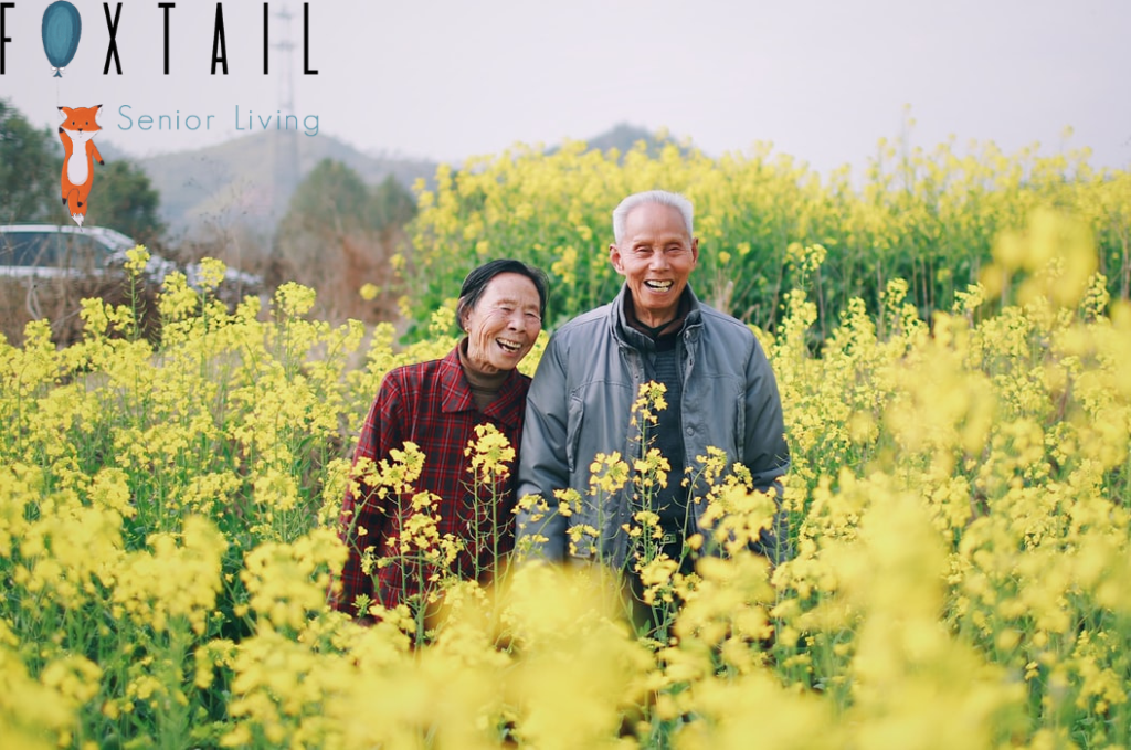 An elderly couple in a field of yellow flowers