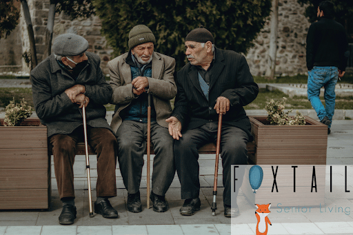 Three seniors talking on a bench in the park